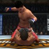 UFC 2009